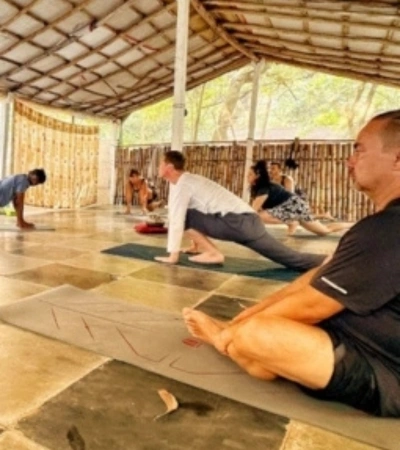Yoga Retreat Training In Goa For Beginners
